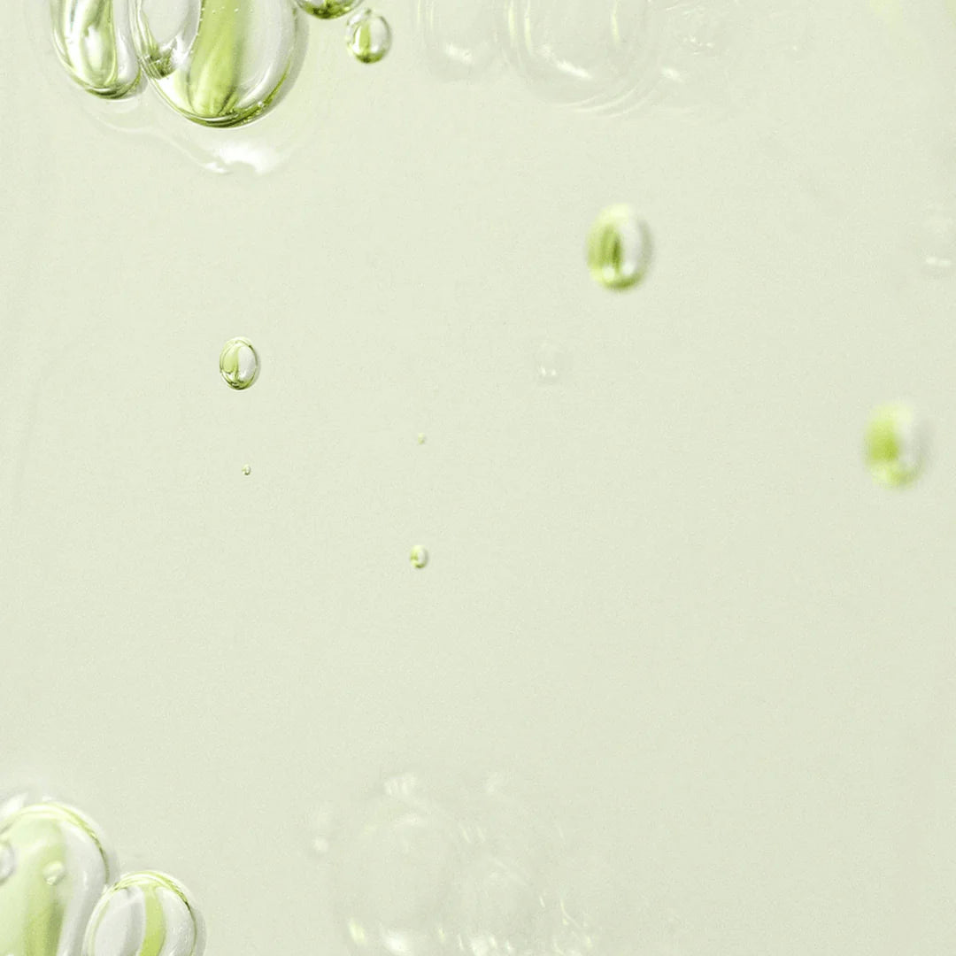 Beauty of Joseon - Calming Serum : Green tea + Panthenol - 30ml - Ministry of Skin